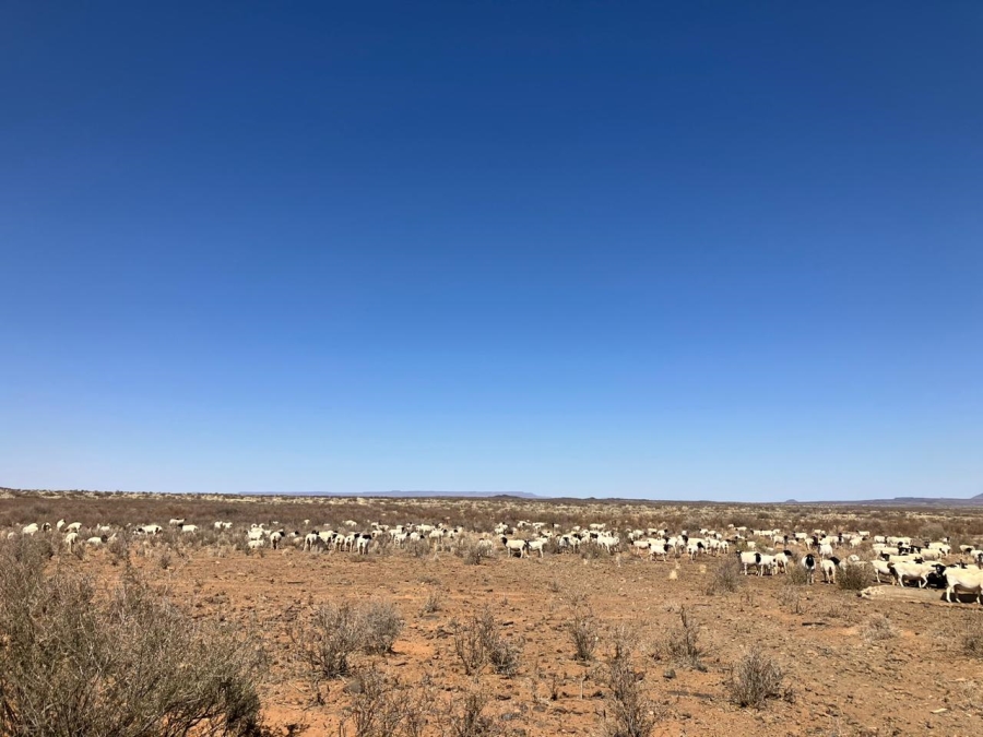 4 Bedroom Property for Sale in Vanwyksvlei Northern Cape